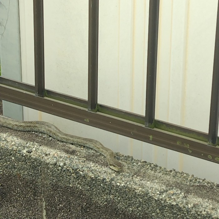 まさかこんなところで？！